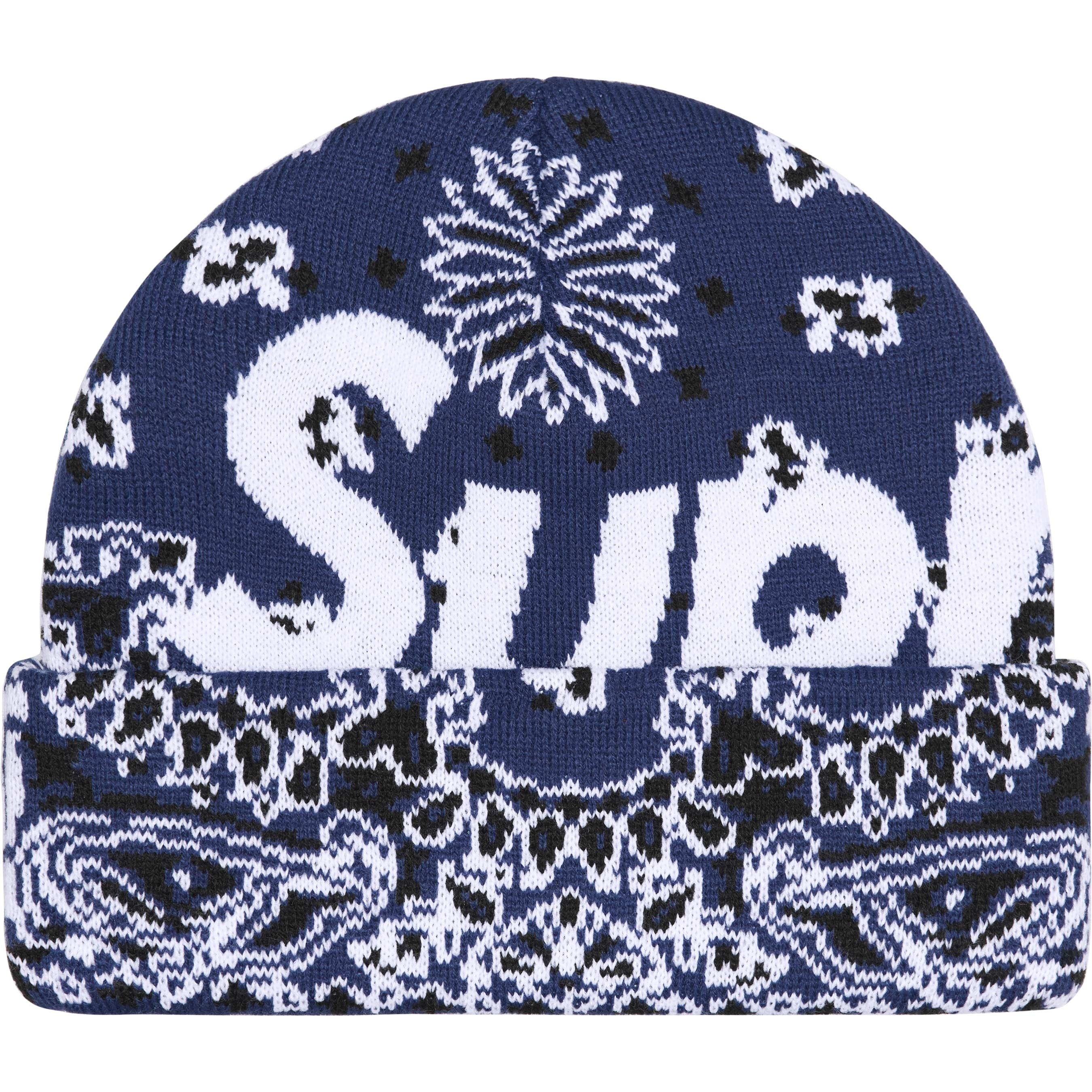 Big Logo Beanie view 13